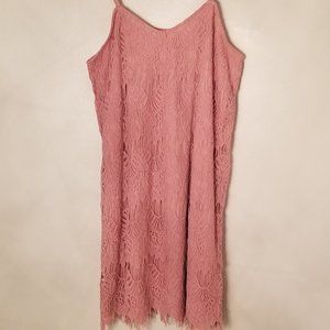Lace Slip Dress sM Never Worn no Tag